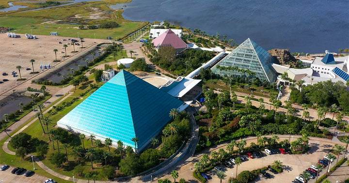Queen City of the Gulf: Best things to do in Galveston