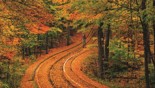 Best Places in the United States for Fall Vibes